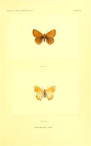n54_w1150