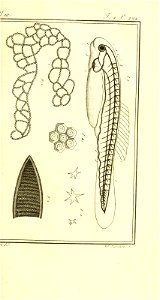 n204_w1150