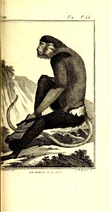 n104_w1150