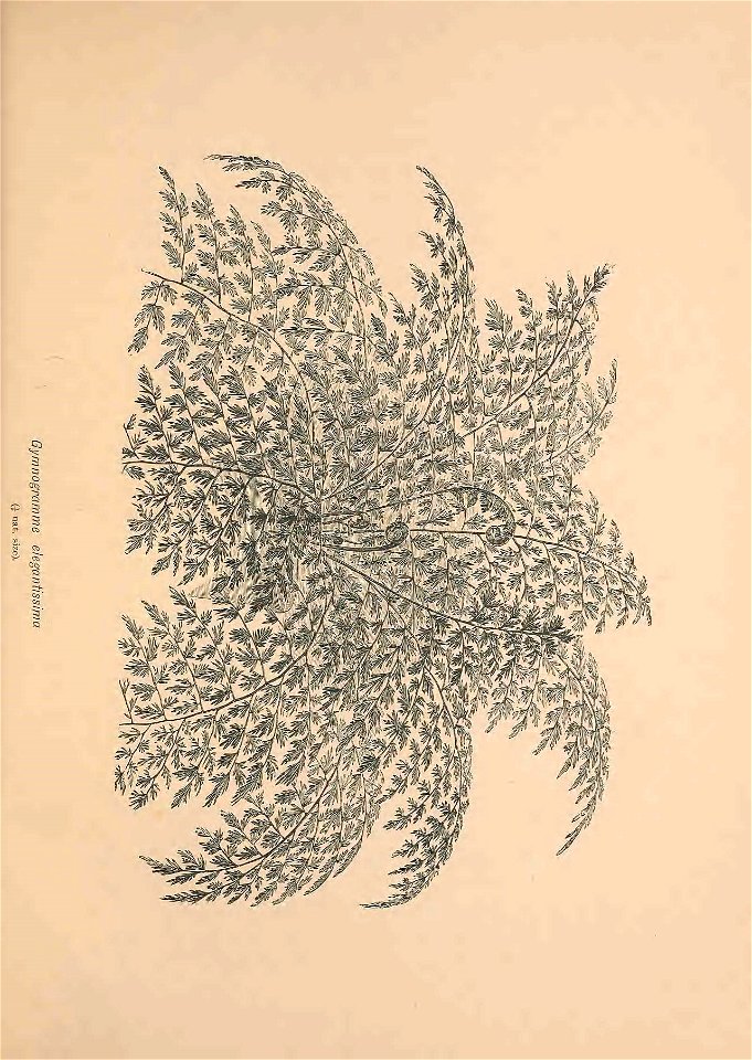 n554_w1150