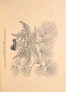 n392_w1150