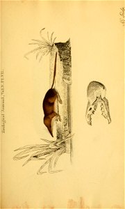 n522_w1150