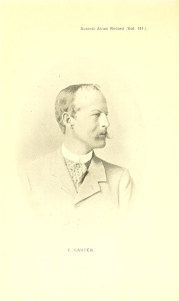 n191_w1150