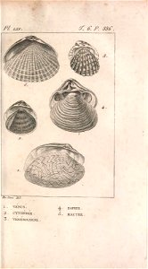 n354_w1150