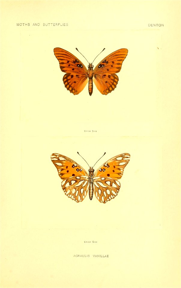 n208_w1150