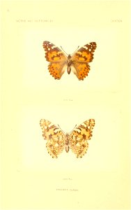 n11_w1150