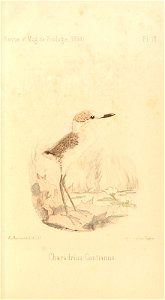 n504_w1150