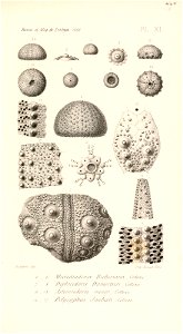 n514_w1150