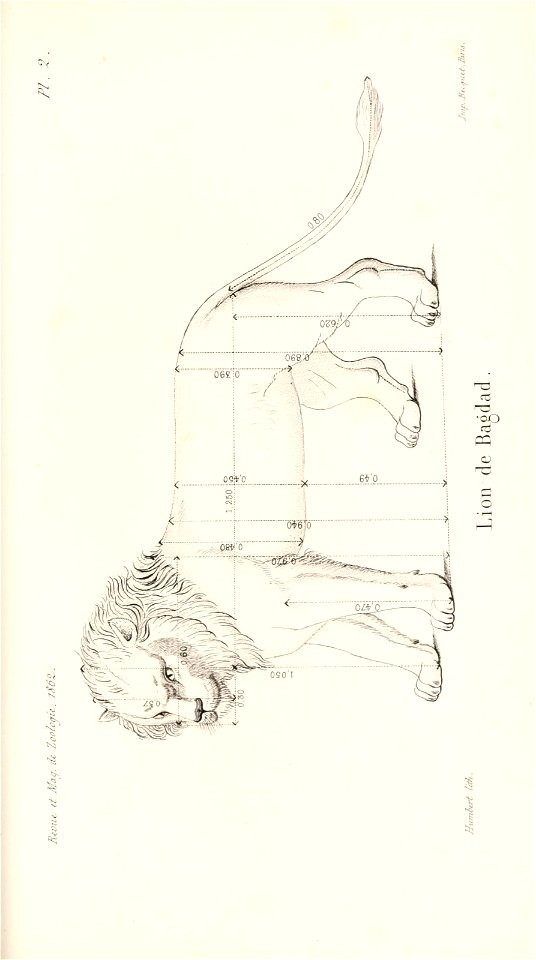 n520_w1150