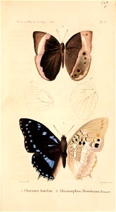 n598_w1150