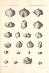 n258_w1150