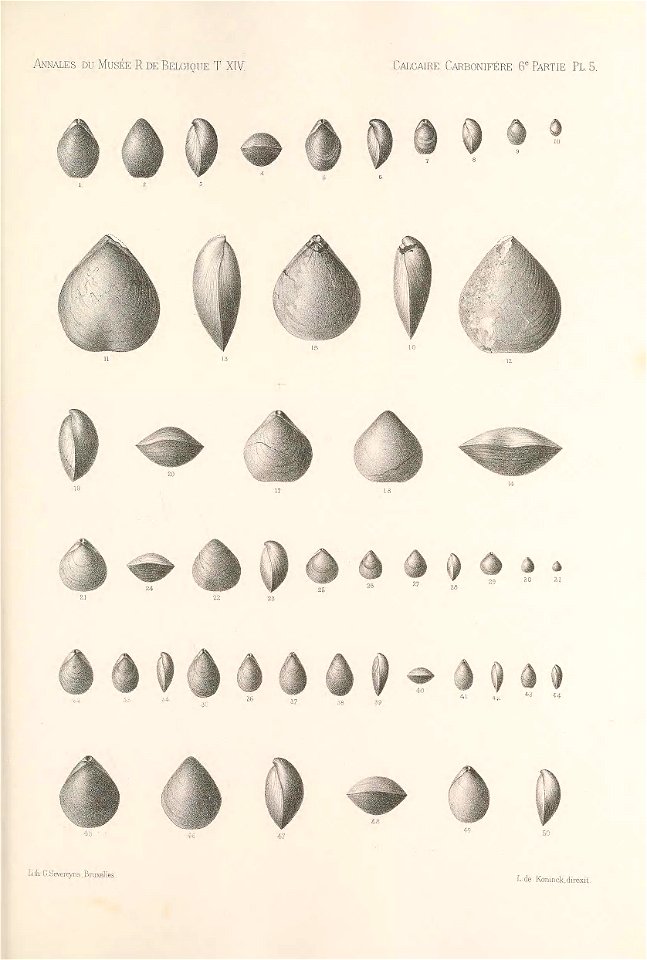 n198_w1150