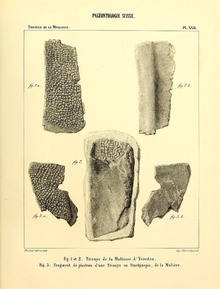 n124_w1150