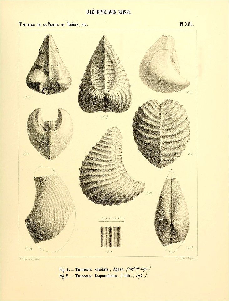 n30_w1150