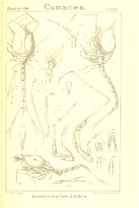n228_w1150