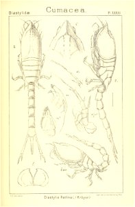 n198_w1150