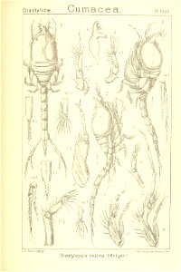 n226_w1150