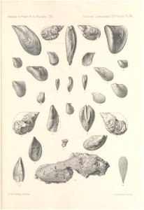 n412_w1150