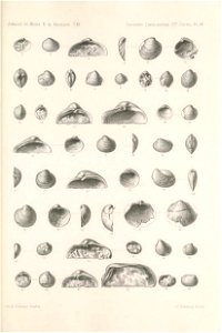 n352_w1150