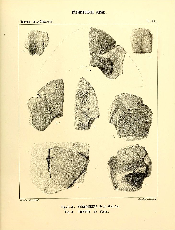 n120_w1150