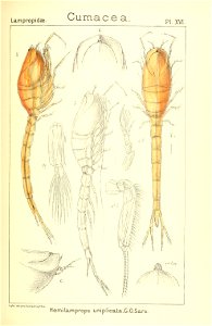 n164_w1150