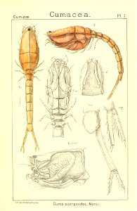 n134_w1150