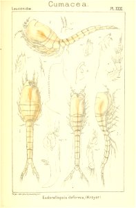 n194_w1150