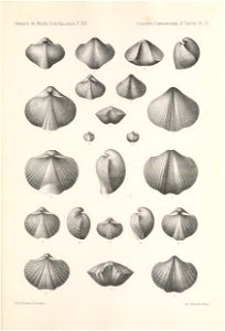n302_w1150