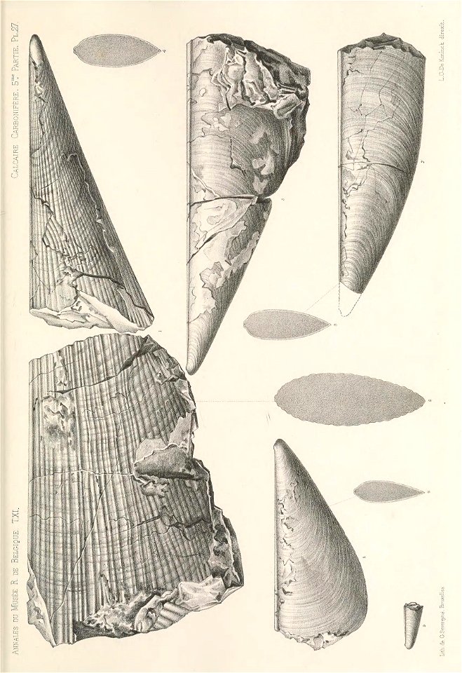 n404_w1150