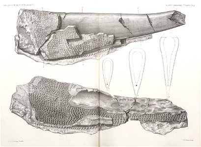 n204_w1150