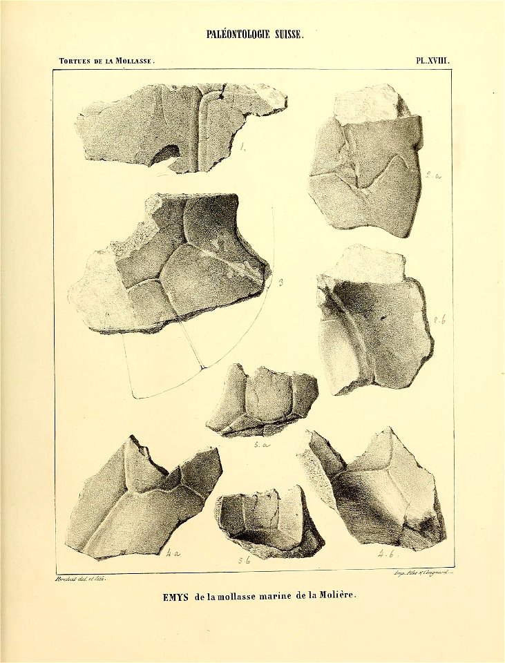 n116_w1150