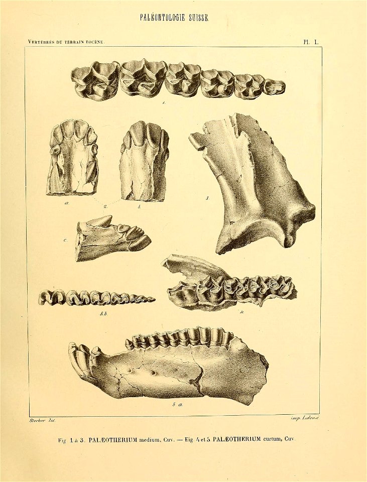 n54_w1150