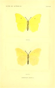 n238_w1150