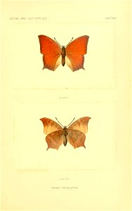 n102_w1150