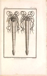 n116_w1150