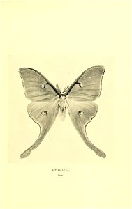n152_w1150