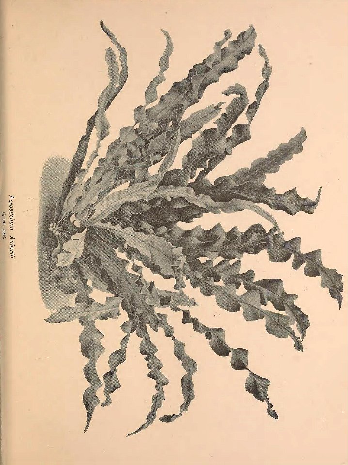 n226_w1150