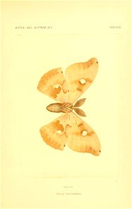n148_w1150