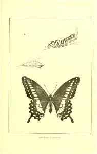 n28_w1150