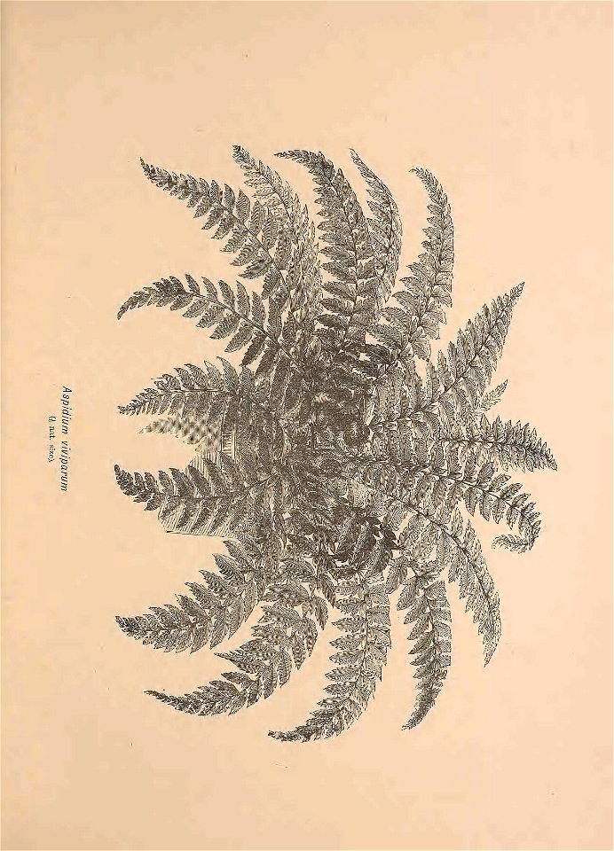 n680_w1150