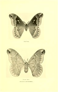 n142_w1150