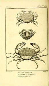 n301_w1150