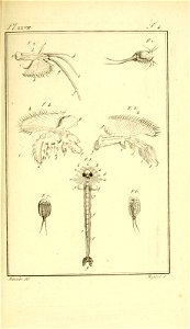 n886_w1150