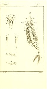 n484_w1150