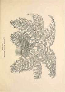 n602_w1150