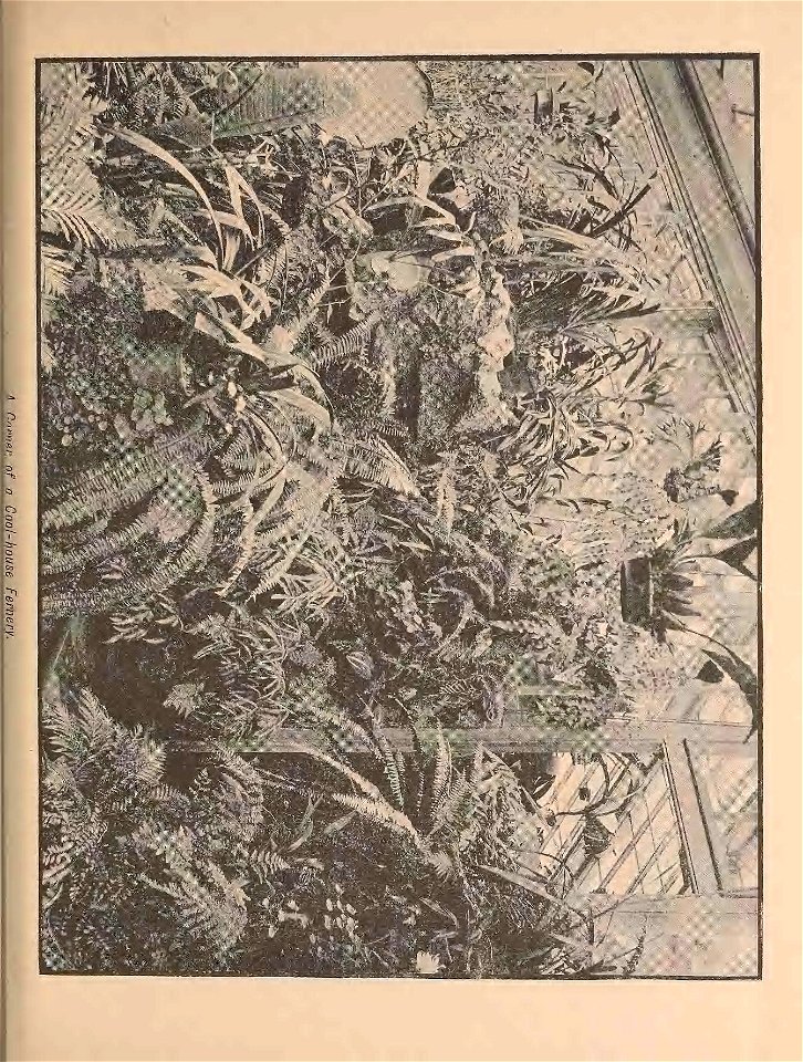 n176_w1150