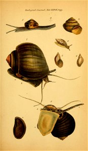 n614_w1150