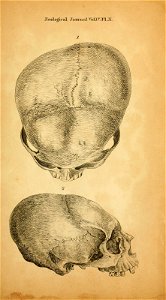 n558_w1150