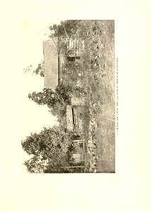 n212_w1150