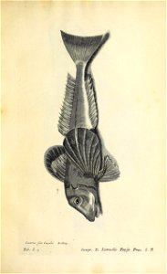 n570_w1150